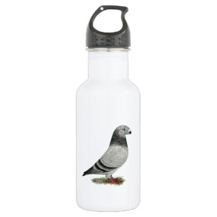 Show Racer Grizzle 532 Ml Water Bottle