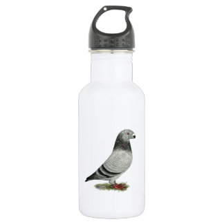 Show Racer Grizzle 532 Ml Water Bottle