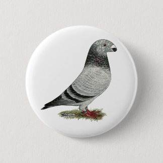 Show Racer Grizzle 6 Cm Round Badge