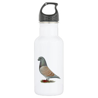 Show Racer Recessive Opal 532 Ml Water Bottle