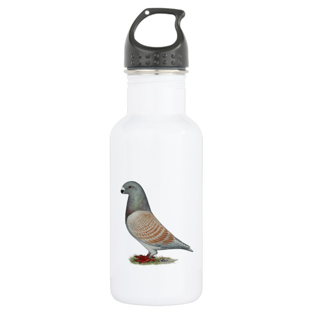 Show Racer Recessive Opal 532 Ml Water Bottle (Front)