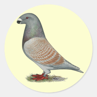 Show Racer Recessive Opal Classic Round Sticker