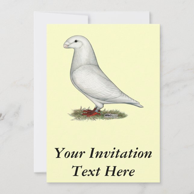 Show Racer White Invitation (Front)