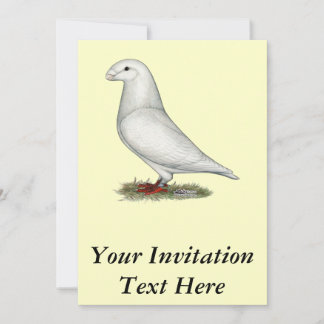 Show Racer White Invitation