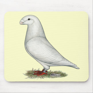 Show Racer White Mouse Pad