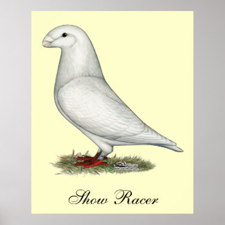 Show Racer White Poster