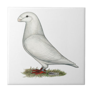 Show Racer White Tile