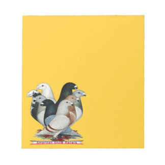 Show Racers Eight Notepad