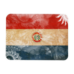 Show your Paraguay Pride! Magnet
