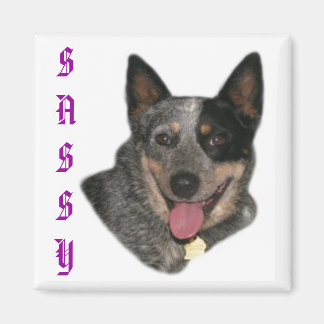 Show your pride magnet