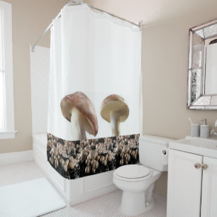 Shower Curtain