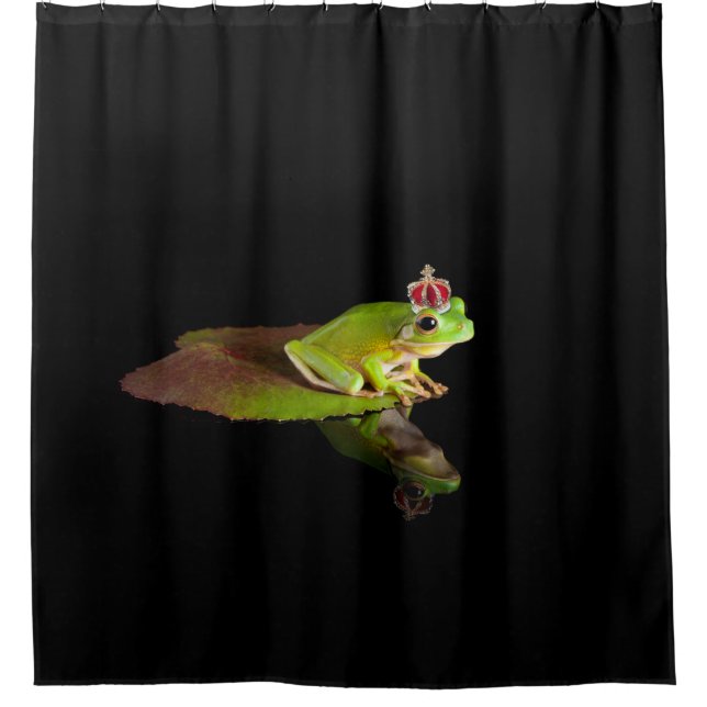 Shower Curtain (Front)