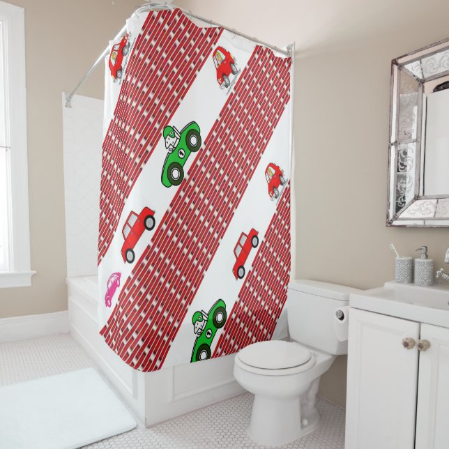 Shower Curtain (In Situ)