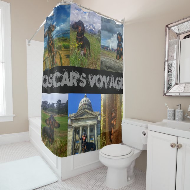 Shower Curtain (In Situ)