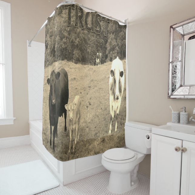 Shower curtain cows (In Situ)