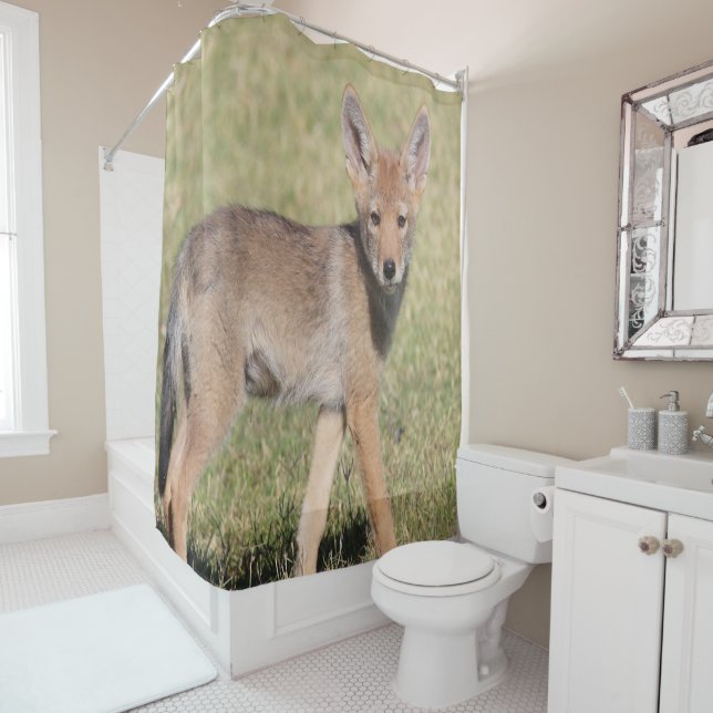 Shower Curtain Coyote (In Situ)