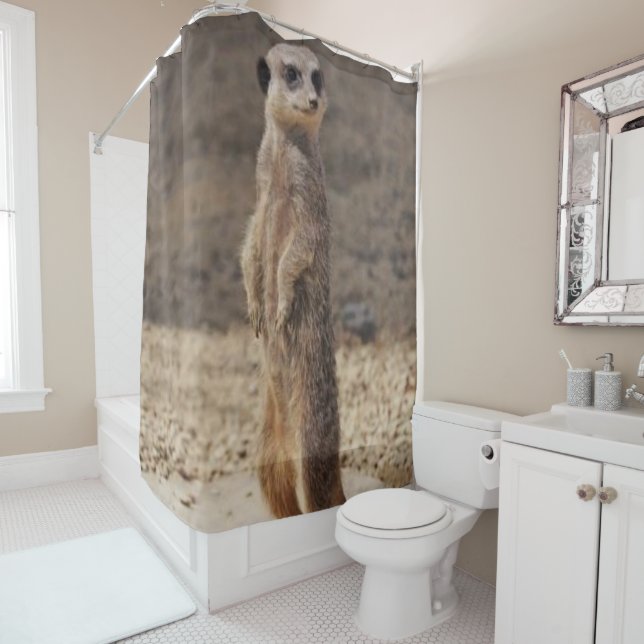 Shower Curtain Meerkat (In Situ)