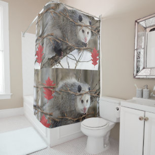 Shower Curtain Opossum Nature