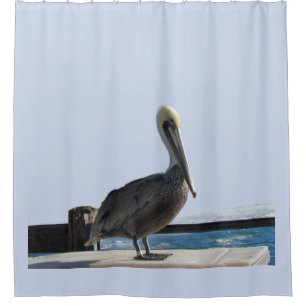 Shower Curtain - Pelican on the Pier