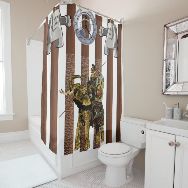Shower Curtain Stripe (In Situ)