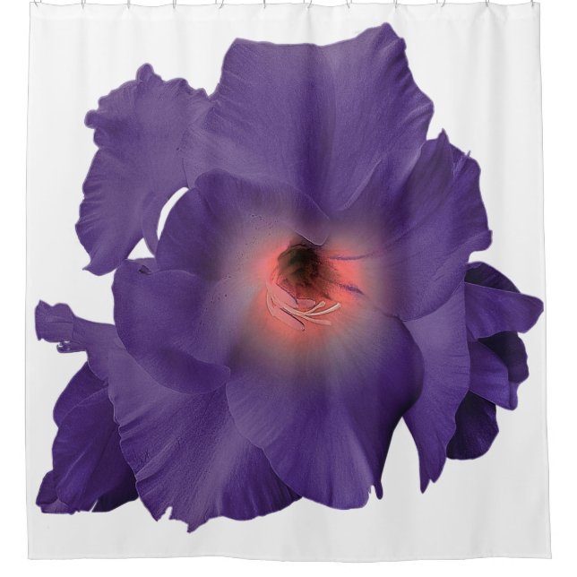 Shower Curtain Sword Lily Indigo Pink (Front)