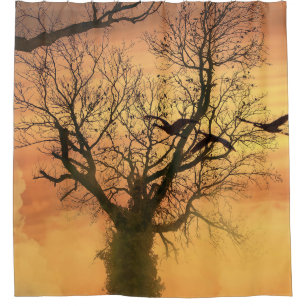 Shower Curtain Twisted Autumn Tree At Sunset