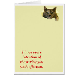 Shower with affection