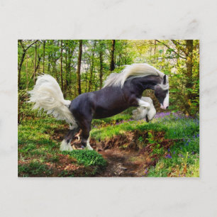 "Showing Off" Postcard