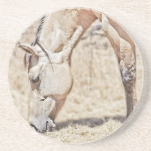 Showing Some Stripes - Sandstone Coasters