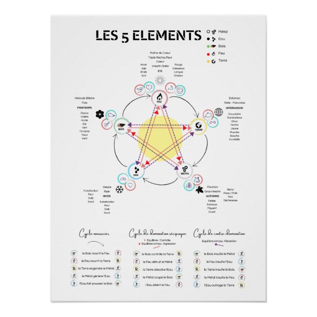 Shows 5 items Chinese Medicine Poster (Front)