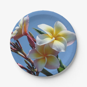 Showy Plumeria Frangipani Blooms Paper Plate