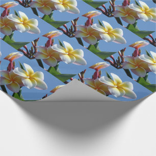 Showy Plumeria Frangipani Blooms Wrapping Paper