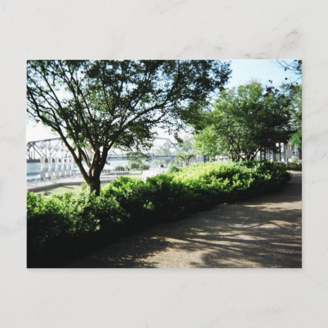 Shreveport Riverfront Postcard (Front)