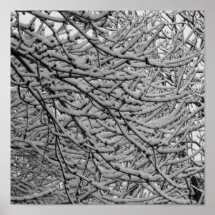 Shreveport Snowfall Poster
