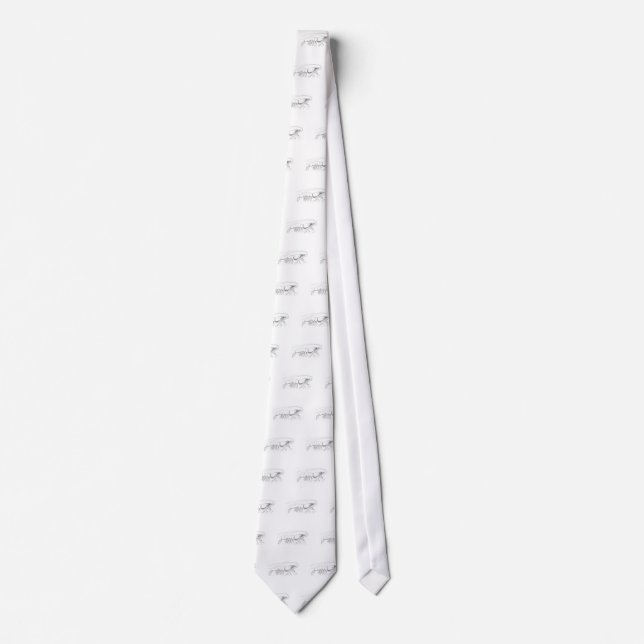 Shrimp Logo Tie (Front)
