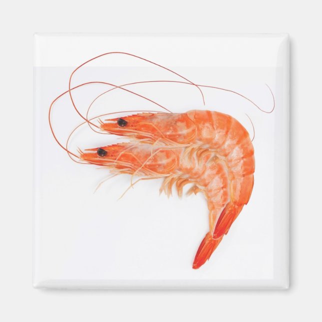 Shrimp Lovers Magnet (Front)