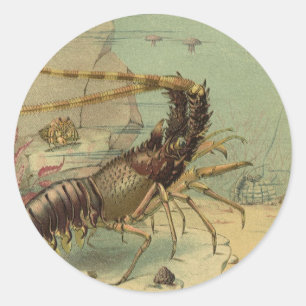 Shrimp, Underwater Sea Life, Vintage Ocean Animals Classic Round Sticker