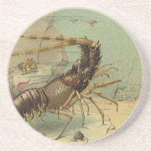 Shrimp, Underwater Sea Life, Vintage Ocean Animals Coaster