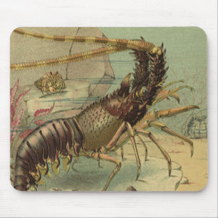 Shrimp, Underwater Sea Life, Vintage Ocean Animals Mouse Pad