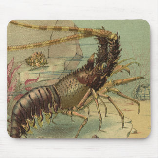 Shrimp, Underwater Sea Life, Vintage Ocean Animals Mouse Pad