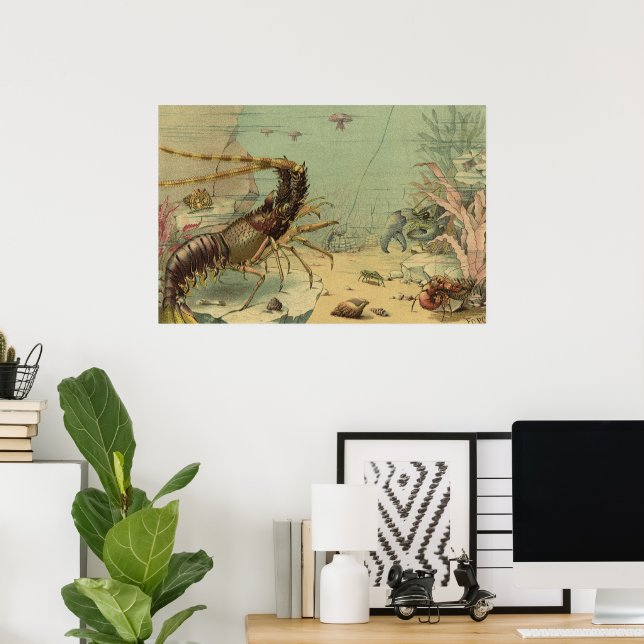 Shrimp, Underwater Sea Life, Vintage Ocean Animals Poster (Home Office)