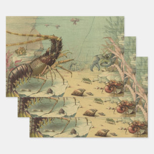 Shrimp, Underwater Sea Life, Vintage Ocean Animals Wrapping Paper Sheet