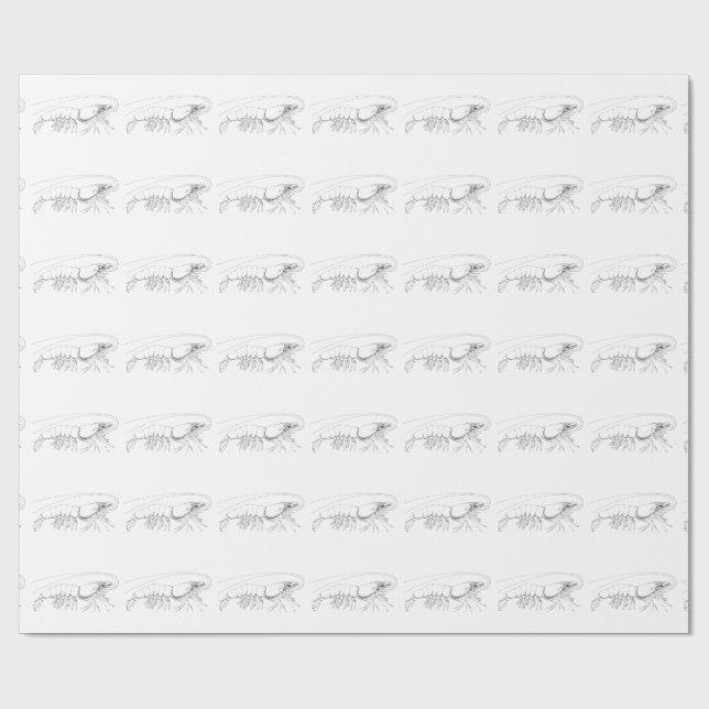 Shrimp Wrapping Paper (Flat)