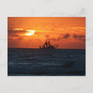 Shrimper Postcard