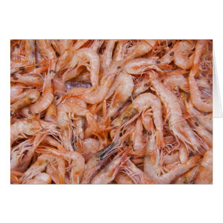 Shrimps