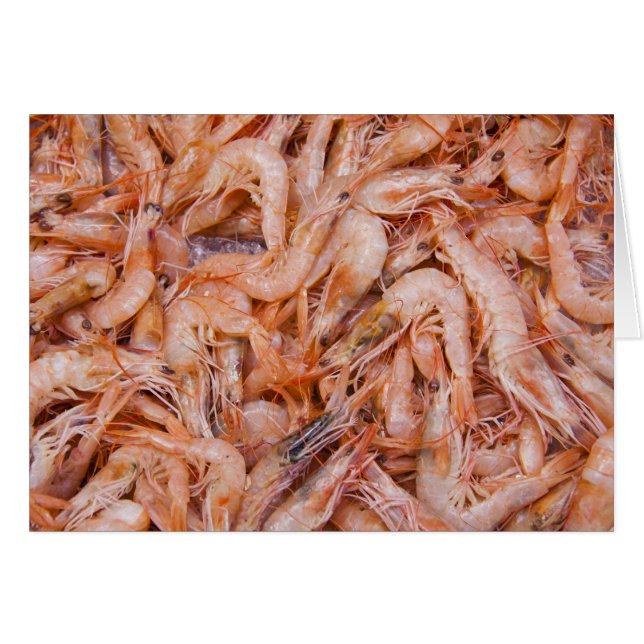 Shrimps (Front Horizontal)