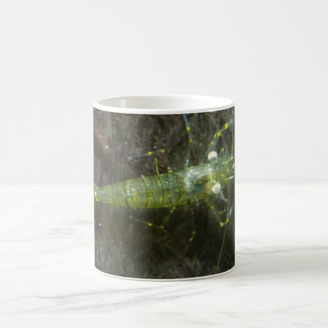 Shrimps  White Coffee Mug (Center)