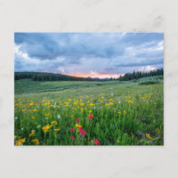 Shrine Pass Road, Red Cliff, United States
