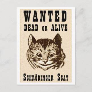 Shrodinger’s cat wanted poster postcard