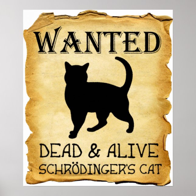 Shrodinger's Cat Funny Poster (Front)